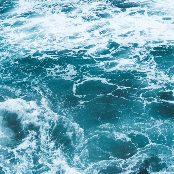 Meet your Posher, Ivy - Picture 1 of 1